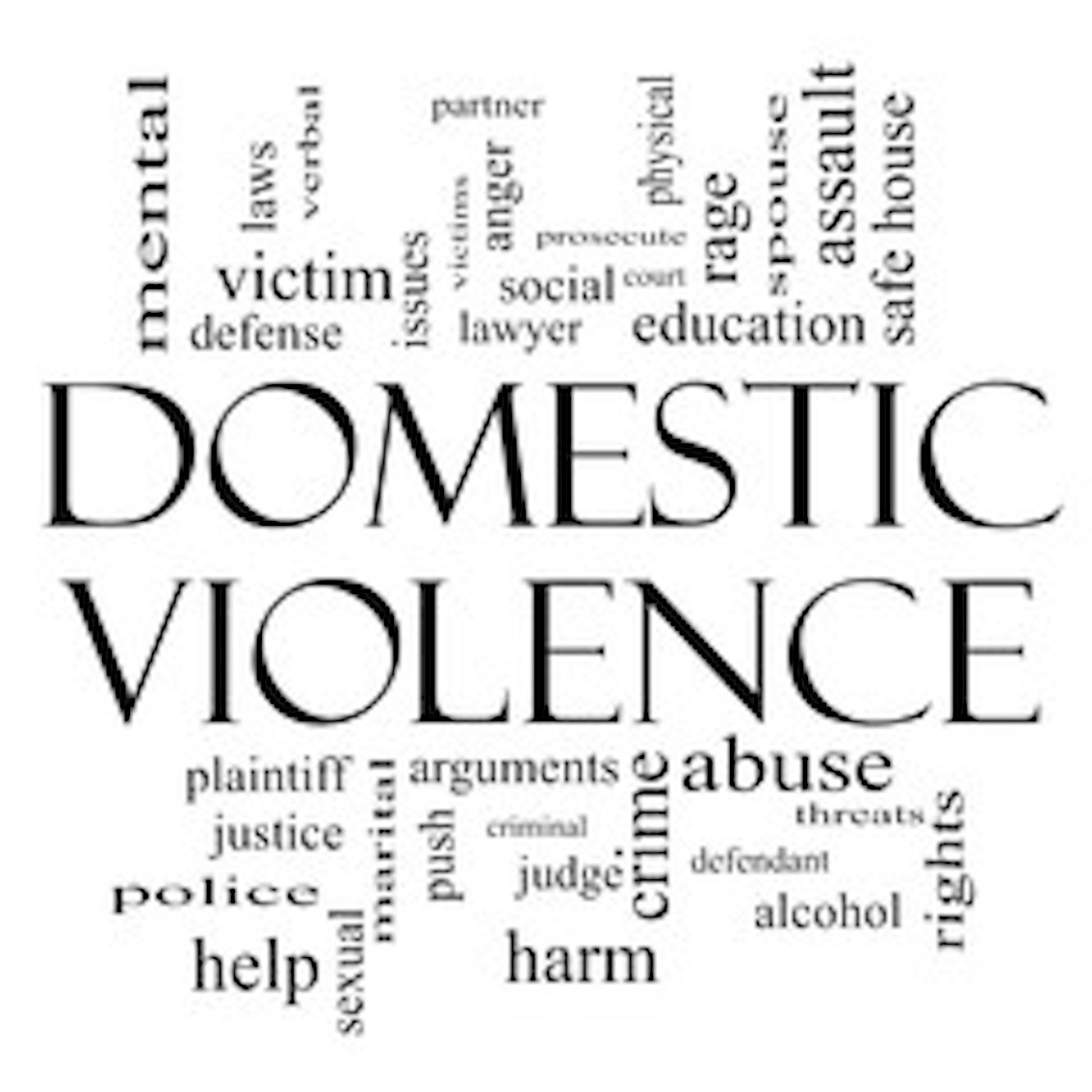 Domestic Violence Case