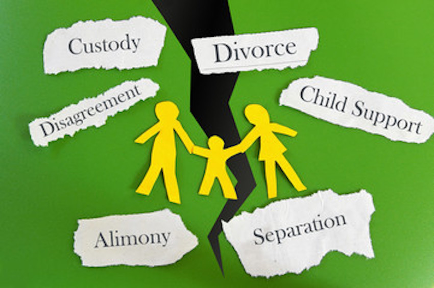 Granting Divorce on Grounds of Cruelty by Wife and Parental Alienation
