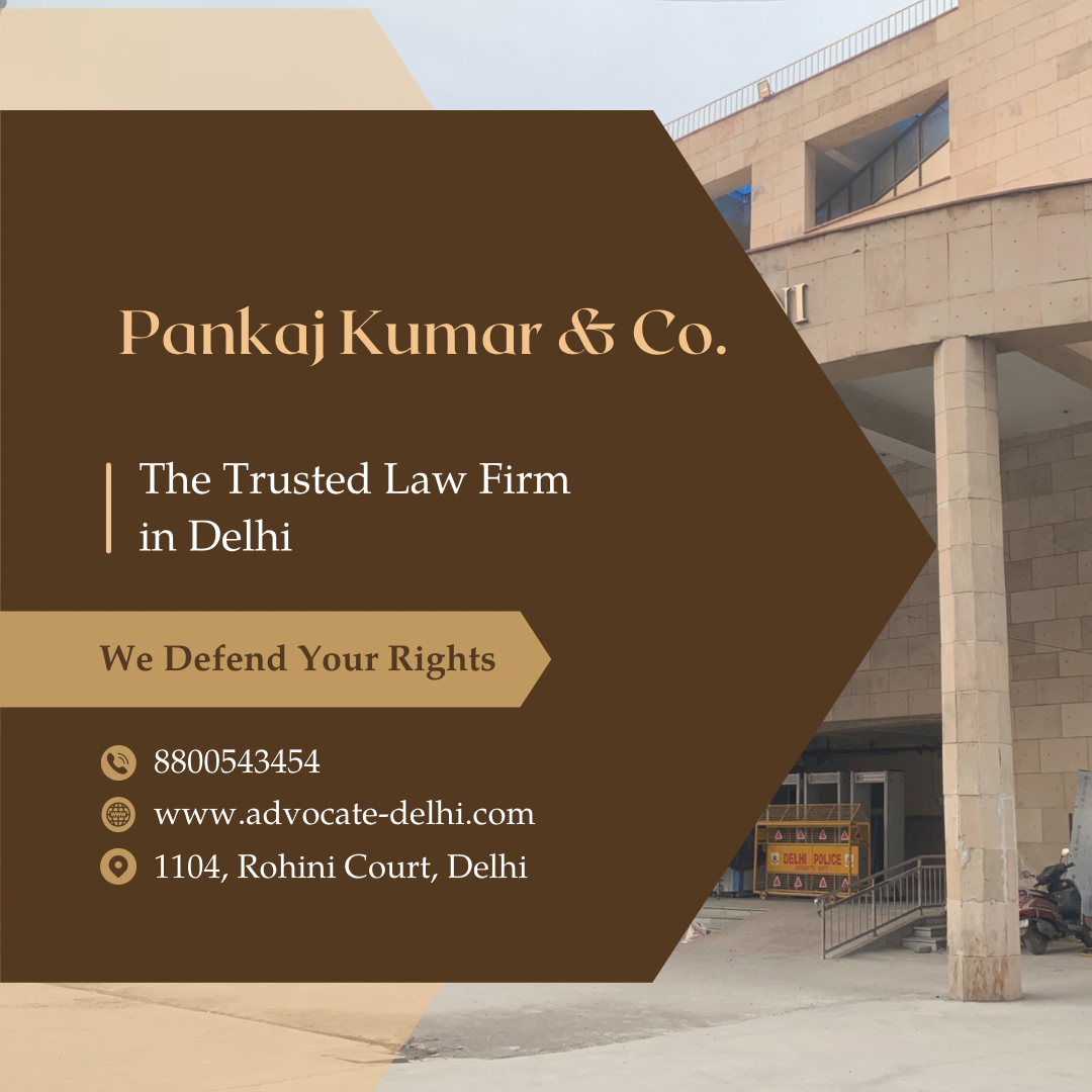 Consult Top Child Custody Lawyer in Rohini | Pankaj Kumar & Co. | Call @ 8800543454