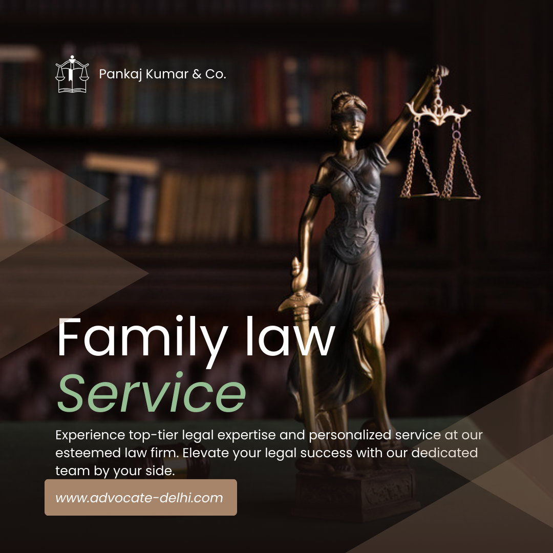 Best Family Dispute Lawyers in Rohini Court